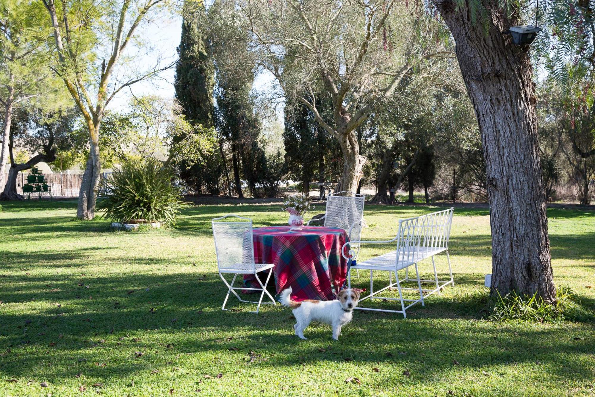 Cortijo Rural La Mariscala Villa Jerez de la Frontera Dış mekan fotoğraf